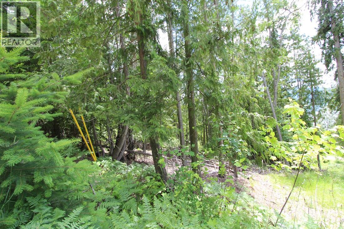 Vickers Trail Lot# 1, Anglemont — photo 3