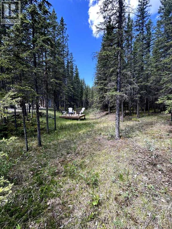 32380 Range Road 55 — photo 19