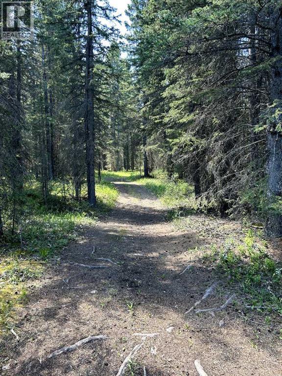 Walking Trails