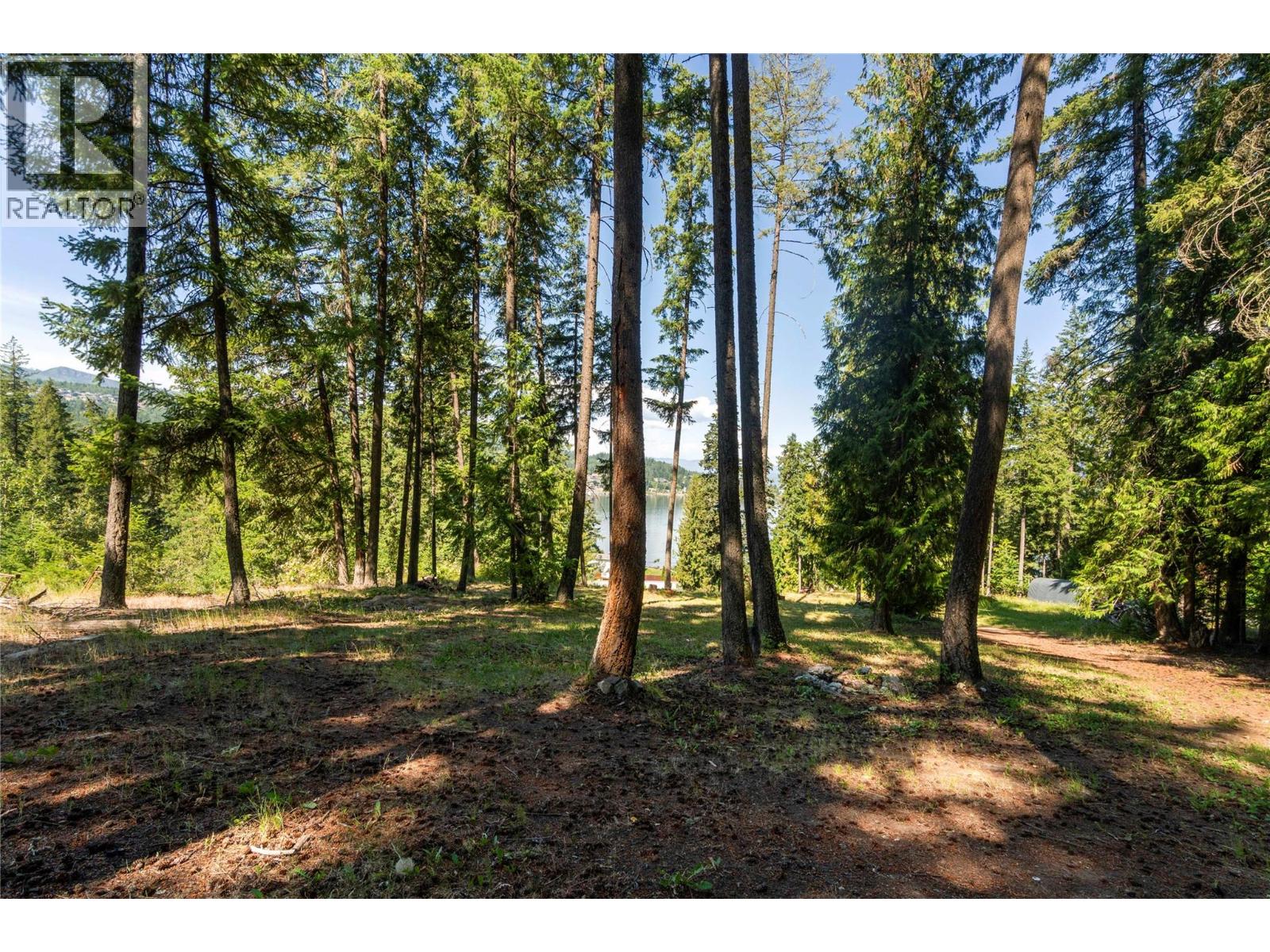 2009 Eagle Bay Road - 69