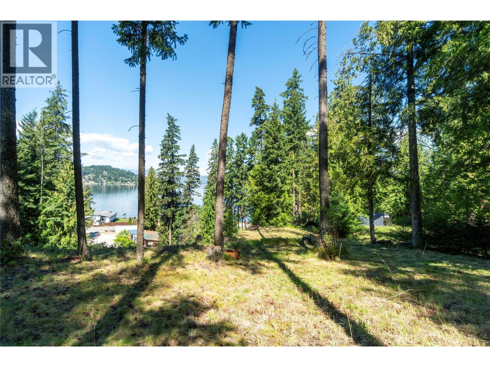 2009 Eagle Bay Road - 70