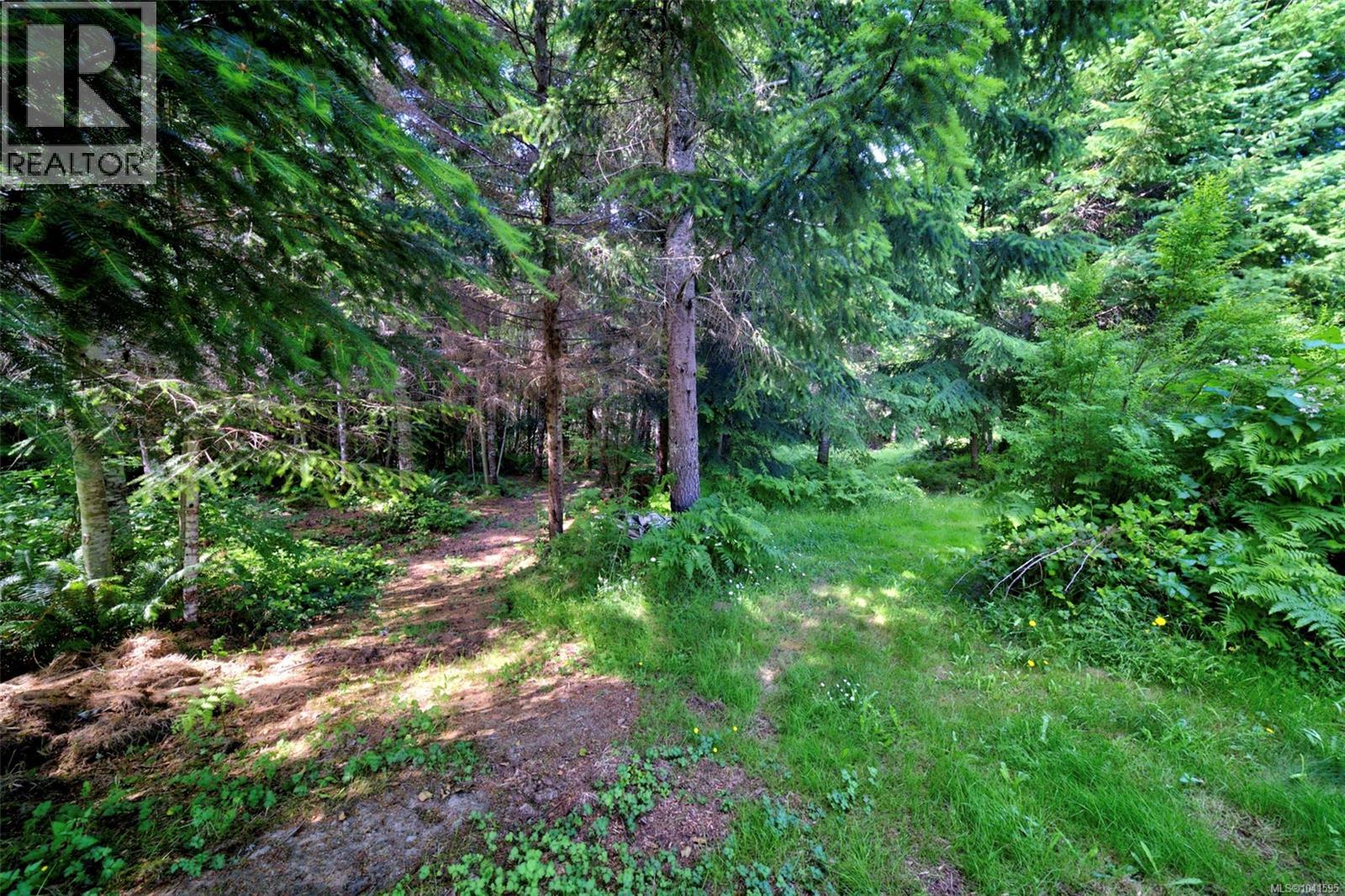 2920 Young Lake Rd - 36