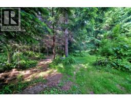 2920 Young Lake Rd, Sooke, BC V9Z0J6 Photo 36