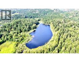 2920 Young Lake Rd, Sooke, BC V9Z0J6 Photo 12