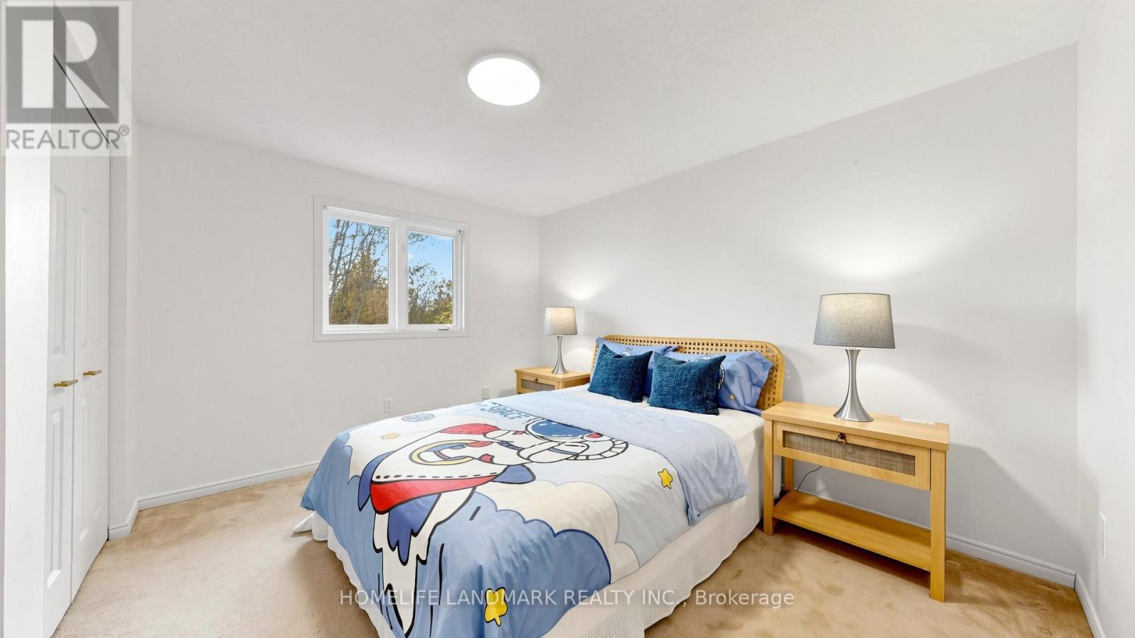45 PHEASANT RUN DRIVE - 29