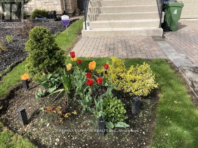 1160 ISLINGTON AVENUE - 50