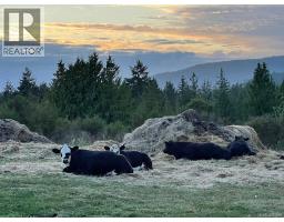 6537 Helgesen Rd, Sooke, BC V9Z0V7 Photo 47
