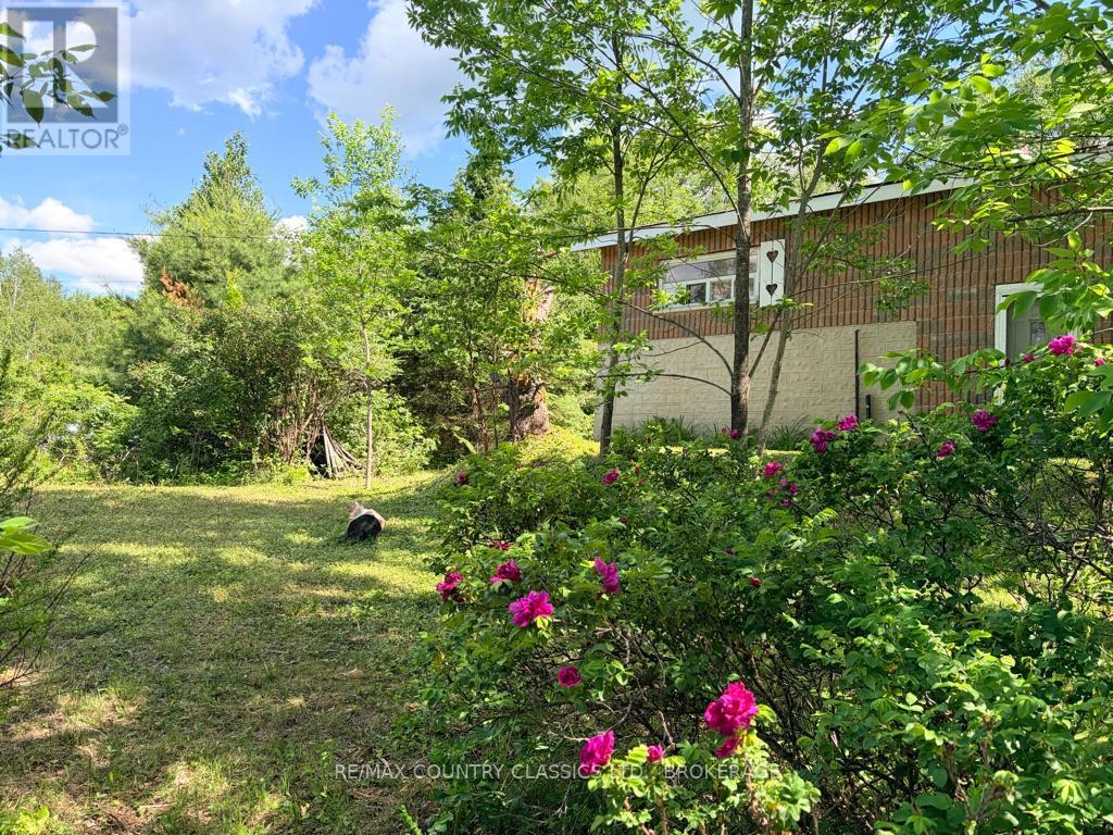 534 B SLATE FALLS ROAD - 33