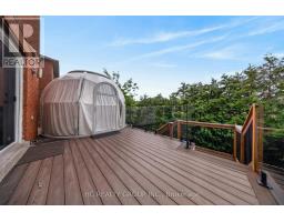 21 Wolf Trail Crescent, Richmond Hill, ON L4E4K1 Photo 45