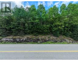 0 Highway 60 Highway, Lake Of Bays, ON P0A1H0 Photo 6