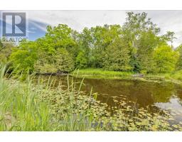 562 Catering Road, Georgina, ON L0E1R0 Photo 37