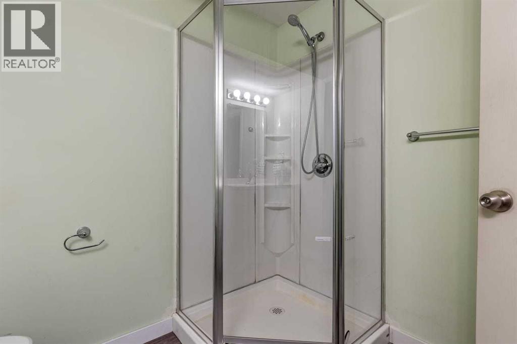 Bsement Bathroom