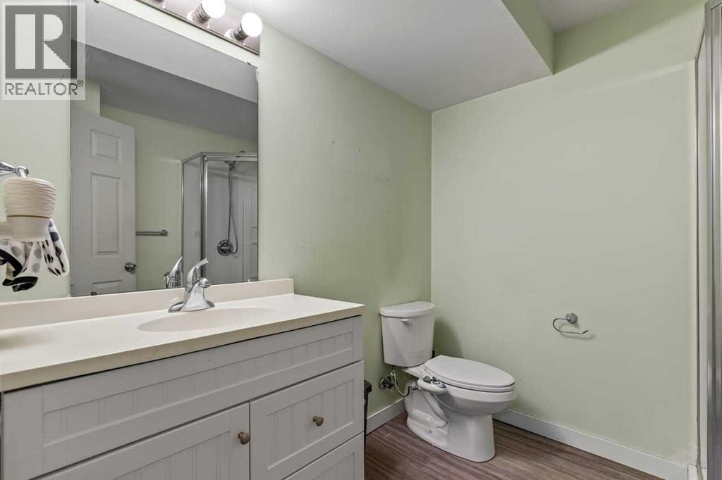 Bsement Bathroom