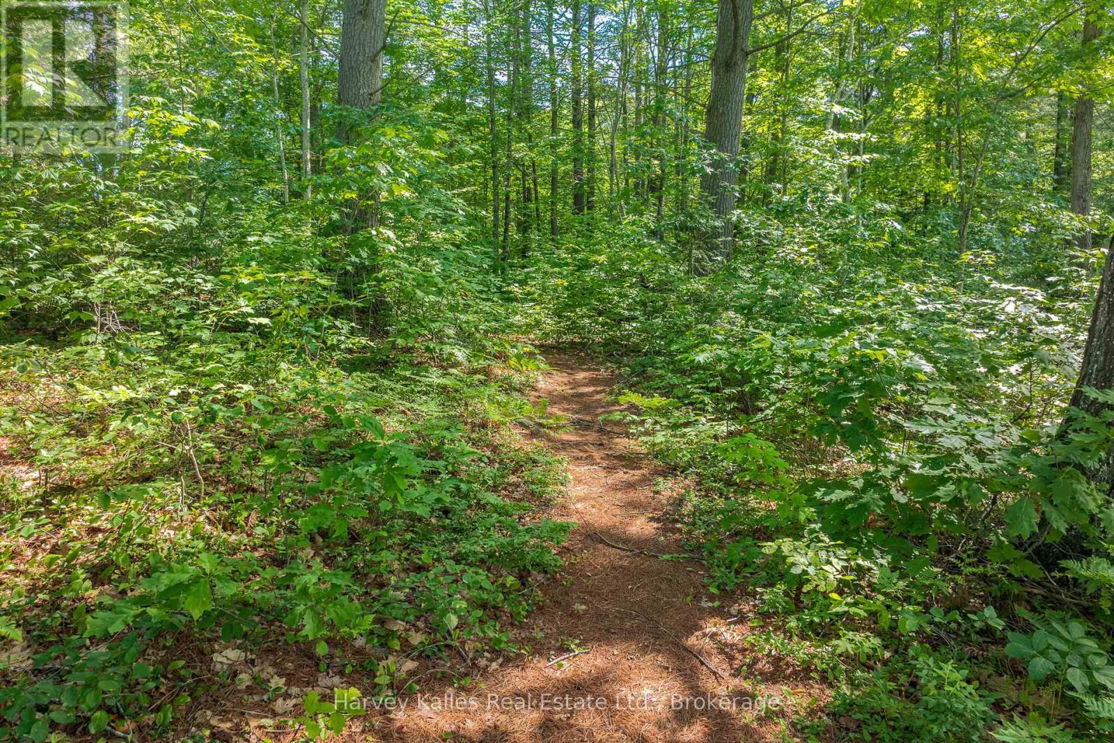 1059 BONA VISTA ROAD - 47