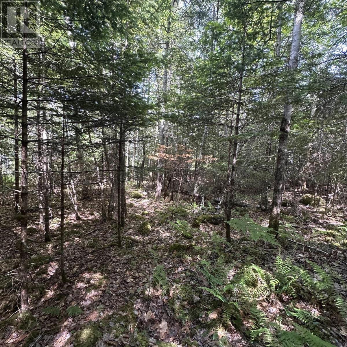 Property 10 of 13 of Lot 7 Rhodenizer Lake Road