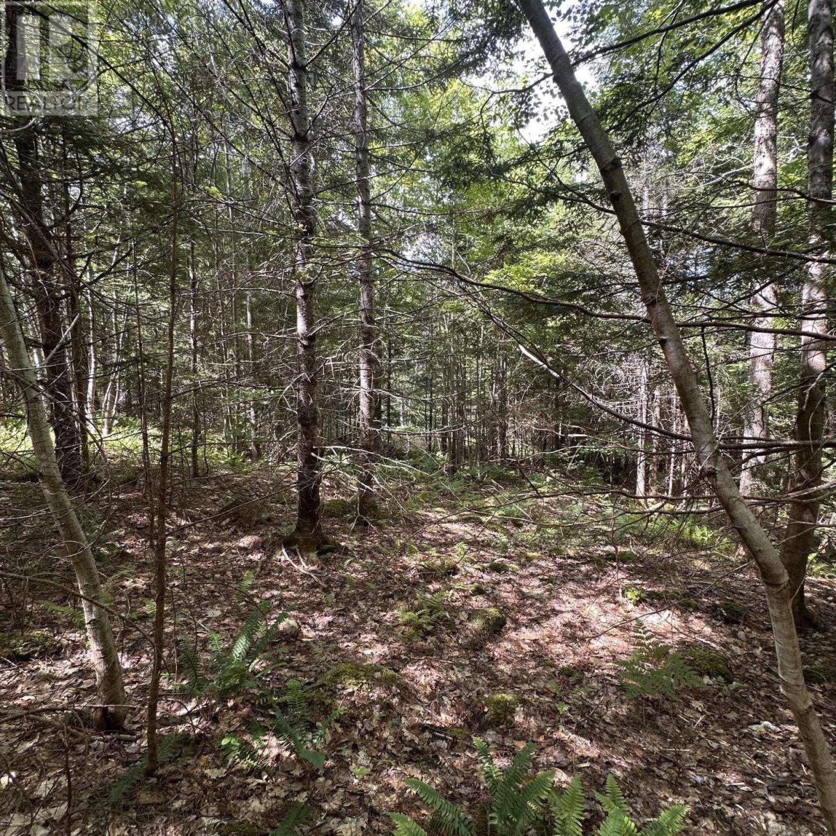 Property 13 of 13 of Lot 7 Rhodenizer Lake Road