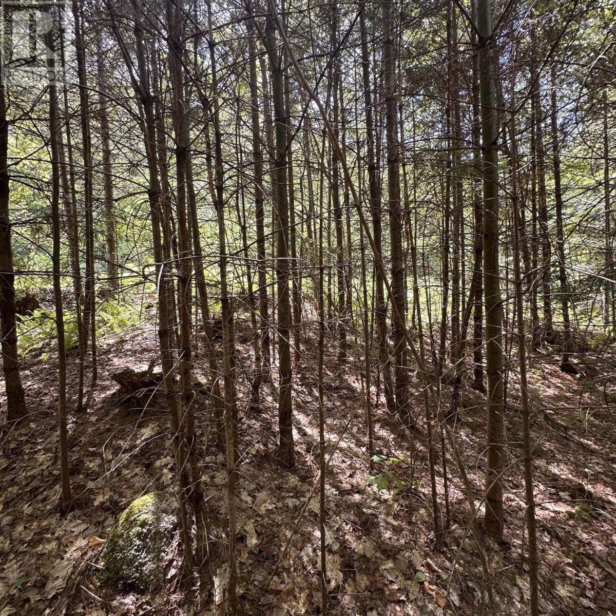 Property 12 of 13 of Lot 7 Rhodenizer Lake Road