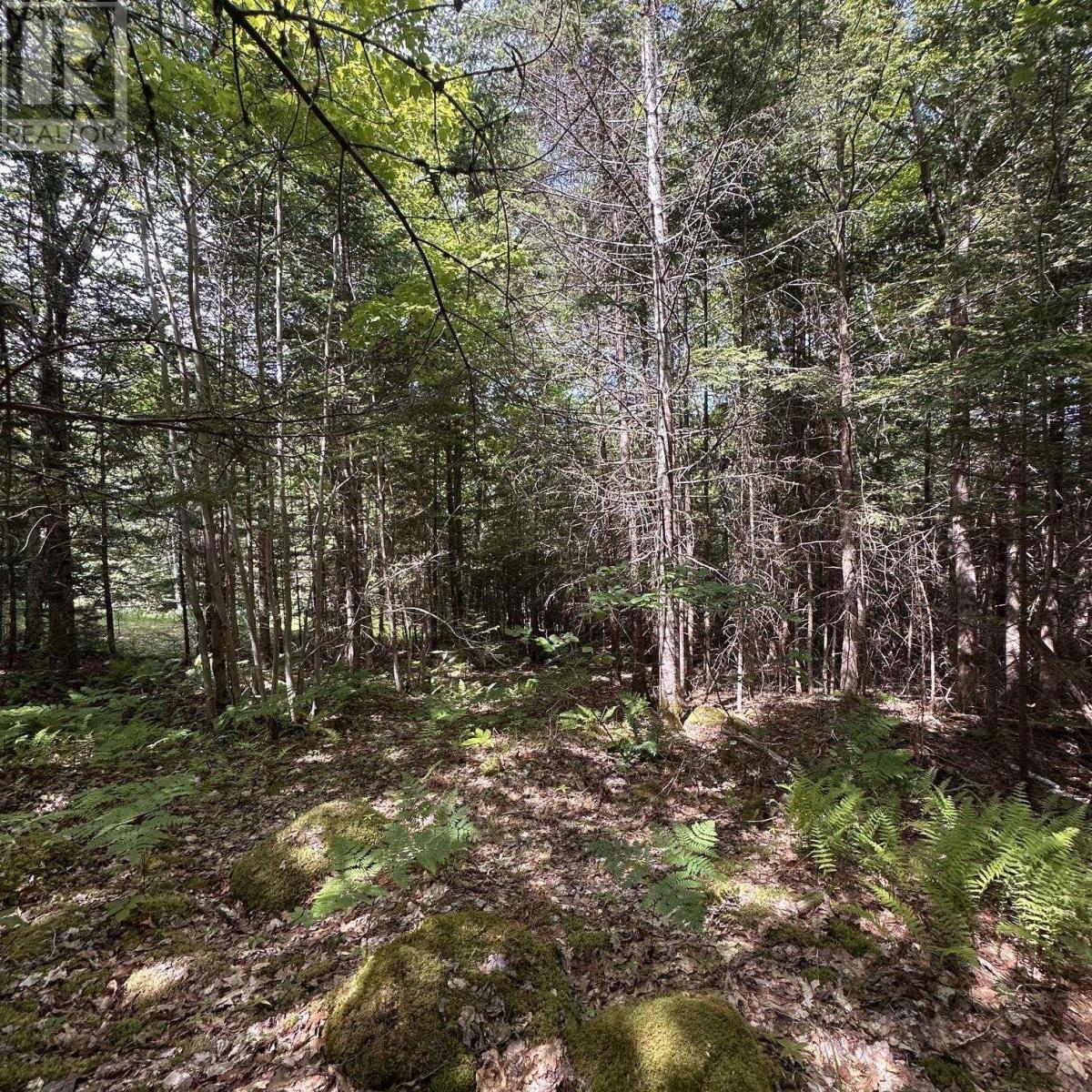 Property 11 of 13 of Lot 7 Rhodenizer Lake Road