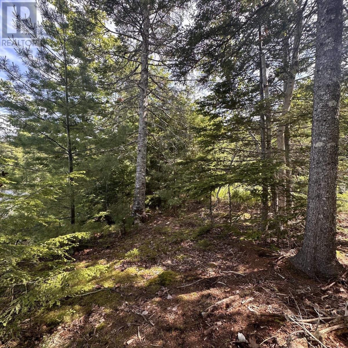 Property 8 of 13 of Lot 7 Rhodenizer Lake Road