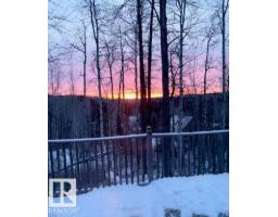 #96 5429 Twp Road 494, Rural Brazeau County, AB T0C1W0 Photo 20