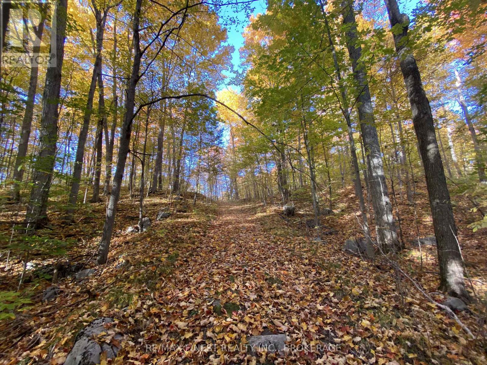 180 NAPANEE ROAD - 45