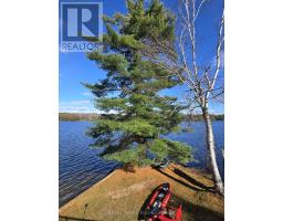 1031 Butterfly Road, Muskoka Lakes, ON P0C1A0 Photo 33