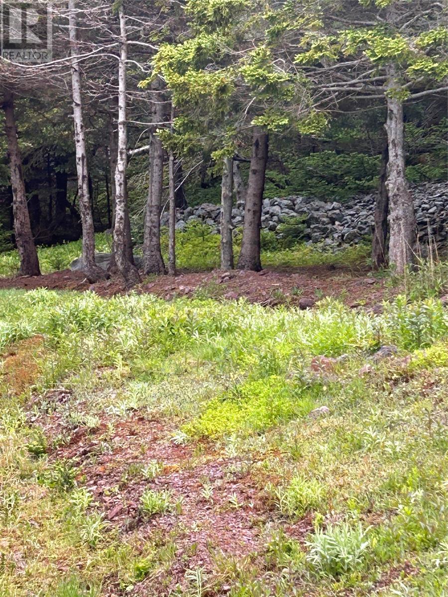 10 LONG SHORE Road - 35