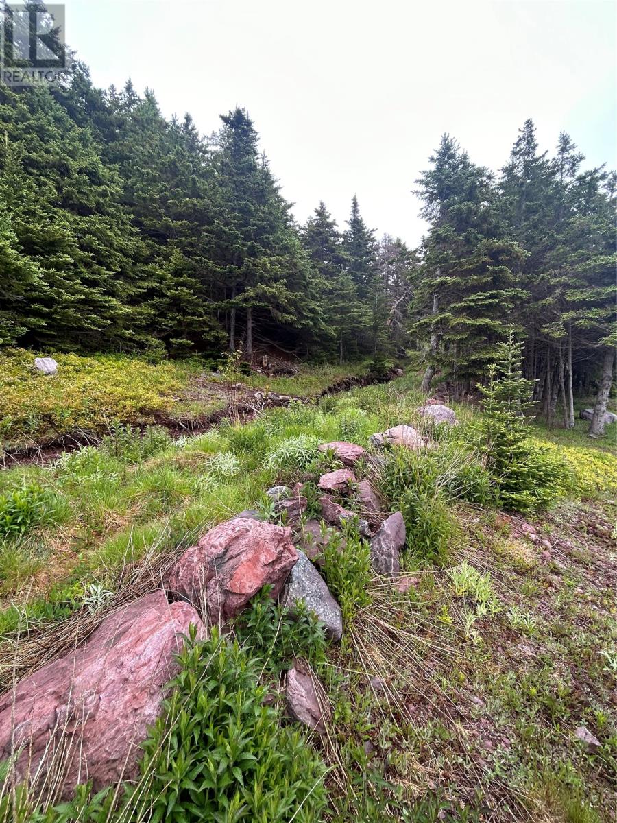 10 LONG SHORE Road - 36