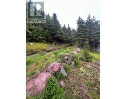 10 Long Shore Road thumbnail 36