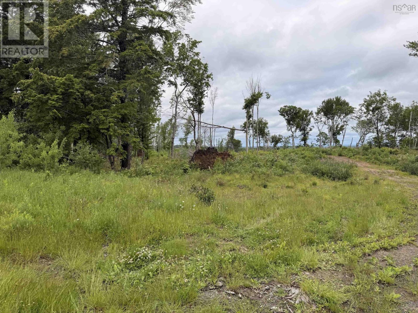 Property 3 of 11 of Lot 1 Big Lots Road