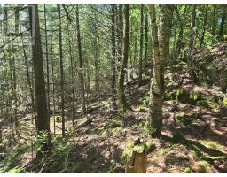 320 Perivale Rd W., Spring Bay, ON P0P2B0 Photo 25