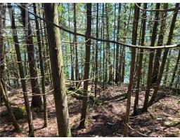 320 Perivale Rd W., Spring Bay, ON P0P2B0 Photo 26