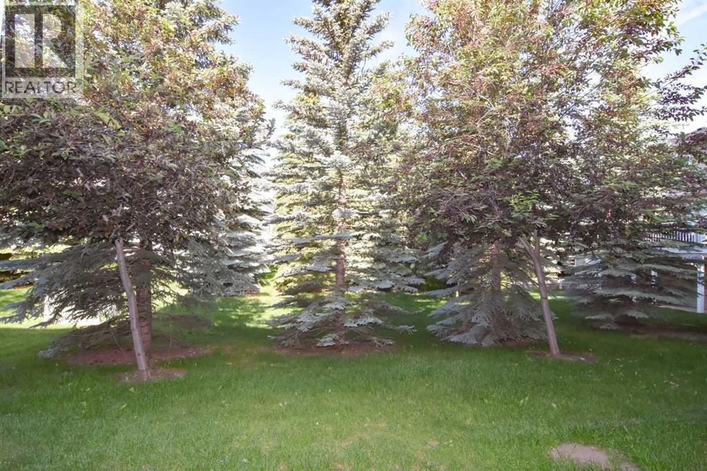 110 Hillview Terrace - photo 4
