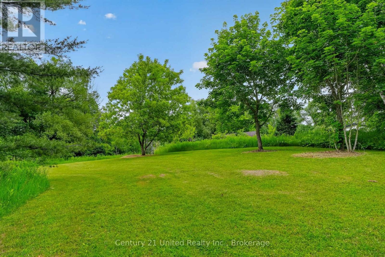145 NOONAN ROAD - 46