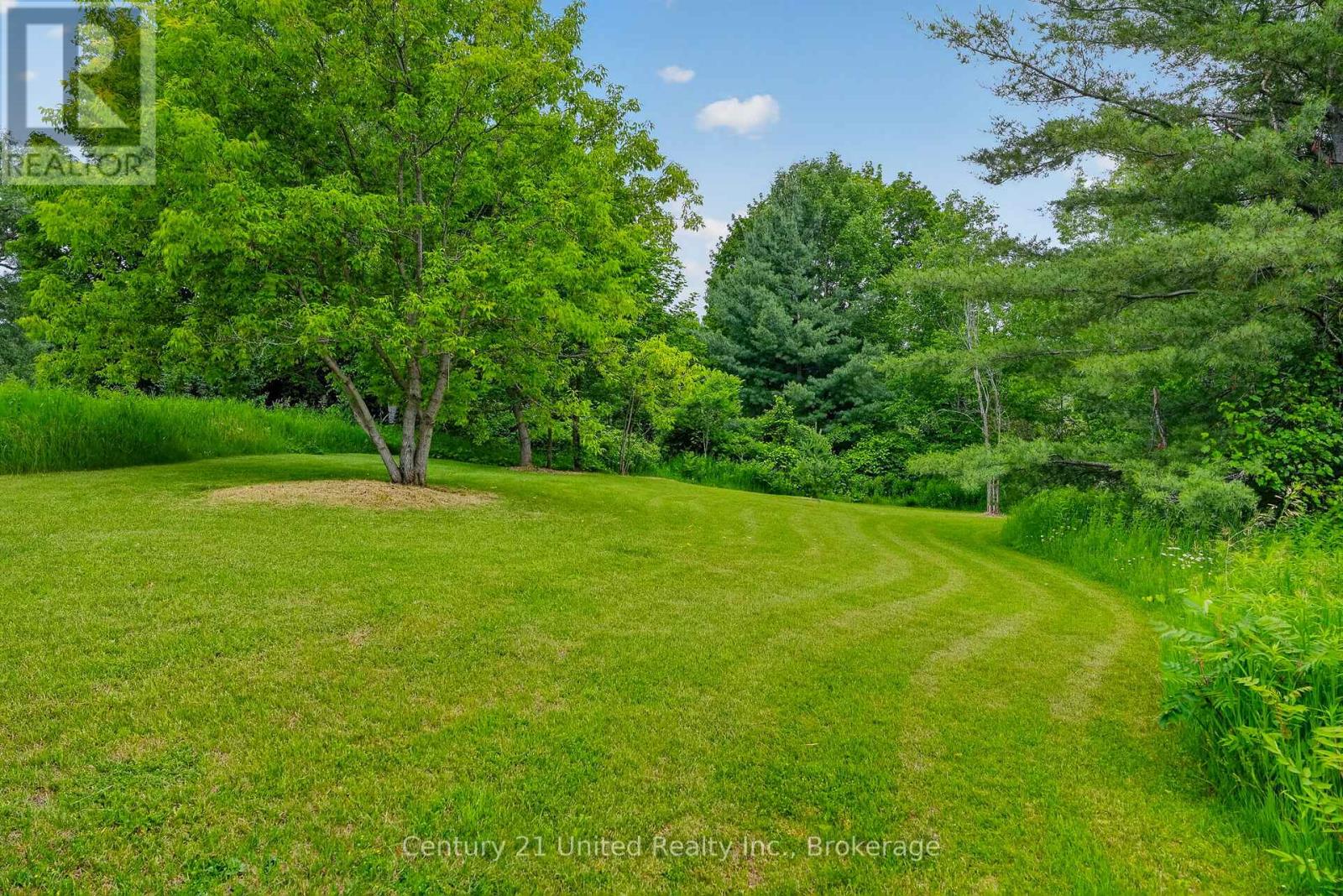 145 NOONAN ROAD - 47