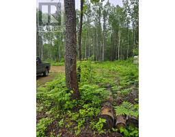 L33207 Mining Claim W, Kirkland Lake, ON P0K1L0 Photo 10