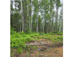 L33207 Mining Claim W, Kirkland Lake, ON P0K1L0 Photo 11