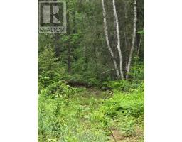 L33207 Mining Claim W, Kirkland Lake, ON P0K1L0 Photo 12