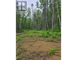 L33207 Mining Claim W, Kirkland Lake, ON P0K1L0 Photo 14