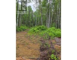 L33207 Mining Claim W, Kirkland Lake, ON P0K1L0 Photo 20