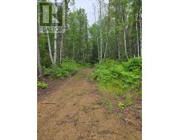 L33207 Mining Claim W, Kirkland Lake, ON P0K1L0 Photo 21