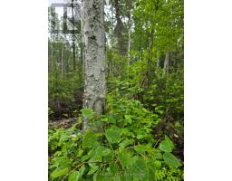 L33207 Mining Claim W, Kirkland Lake, ON P0K1L0 Photo 9