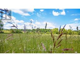 3510 Foymount Road, Bonnechere Valley, ON K0J1T0 Photo 23