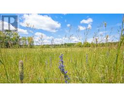 3510 Foymount Road, Bonnechere Valley, ON K0J1T0 Photo 26