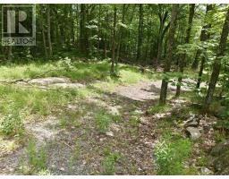 1731 Fraserburg Road, Bracebridge, ON P1L1X3 Photo 10