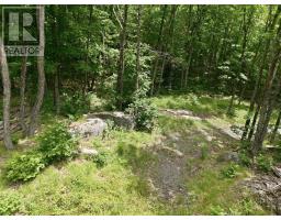 1731 Fraserburg Road, Bracebridge, ON P1L1X3 Photo 11