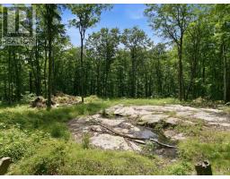 1731 Fraserburg Road, Bracebridge, ON P1L1X3 Photo 12