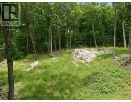 1731 Fraserburg Road, Bracebridge, ON P1L1X3 Photo 14