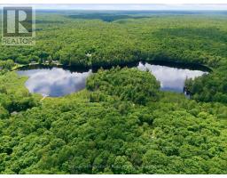 1731 Fraserburg Road, Bracebridge, ON P1L1X3 Photo 15