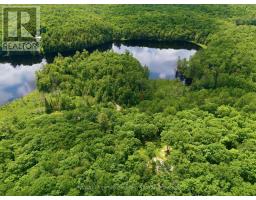 1731 Fraserburg Road, Bracebridge, ON P1L1X3 Photo 16